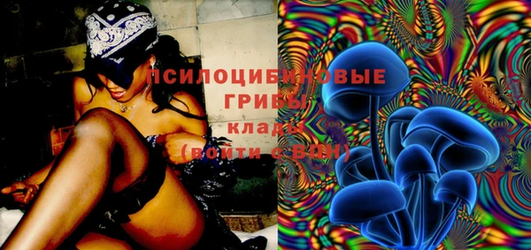 spice Алзамай