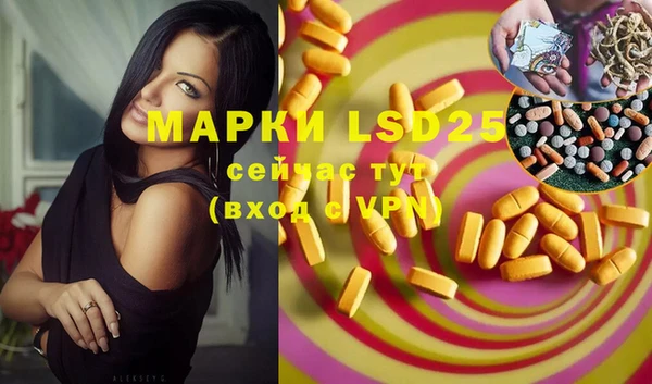 spice Алзамай