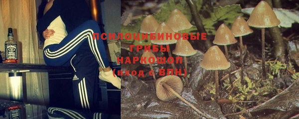 героин Алексин