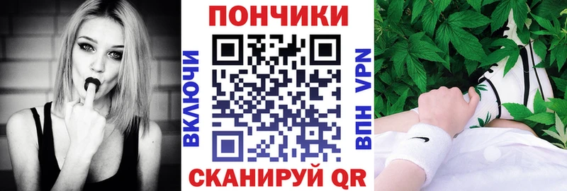 где можно купить   Приморск  Канабис Amnesia 